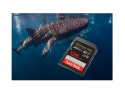 Karta pamięci SANDISK Extreme PRO SDXC 128GB